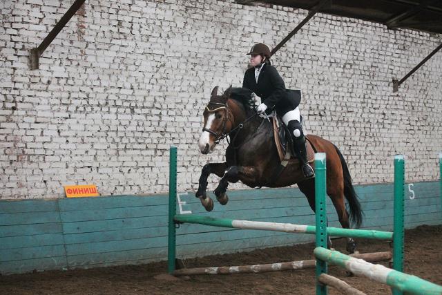 В Борисоглебске прошли соревнования по конному спорту width=360px